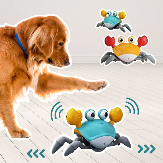 CrabbyPlay™ -Crawling Crab Automatic Dog Toy